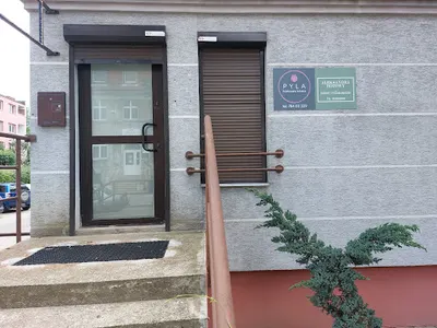 Usługi fizjoterapeutyczne Pyla Alicja Fizjoterapia Kobieca PYLA